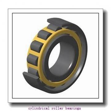 45 mm x 120 mm x 29 mm  ISB NU 409 cylindrical roller bearings