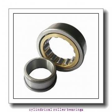 260 mm x 480 mm x 80 mm  NACHI NUP 252 cylindrical roller bearings