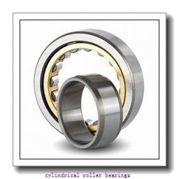17 mm x 25 mm x 13 mm  ISO RNAO17x25x13 cylindrical roller bearings