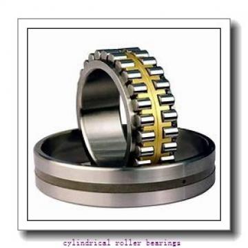 25 mm x 52 mm x 15 mm  FBJ NUP205 cylindrical roller bearings