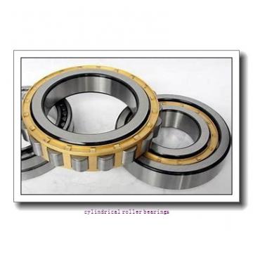 105 mm x 190 mm x 36 mm  NKE N221-E-M6 cylindrical roller bearings