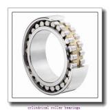 240 mm x 320 mm x 80 mm  ISO NNU4948 V cylindrical roller bearings