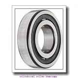 Toyana NUP30/500 cylindrical roller bearings