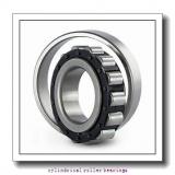85 mm x 180 mm x 41 mm  NKE NJ317-E-MPA cylindrical roller bearings